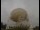 Webcam at the Jodrell Bank Observatory, 5.8 mi away