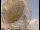 Webcam am Jodrell Bank Observatory, 80.4 km entfernt