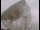 Webcam at the Jodrell Bank Observatory, 22.5 mi away