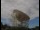 Webcam al Jodrell Bank Observatory, 81.9 km