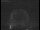 Webcam in Jodrell Bank Observatory, 126.4 km