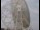 Webcam in Observatorio Jodrell Bank, 15 km