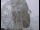 Webcam in Observatorio Jodrell Bank, 44.9 km