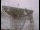 Webcam at the Jodrell Bank Observatory, 18.9 mi away