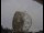 Webcam al Jodrell Bank Observatory, 81.8 km