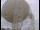 Webcam at the Jodrell Bank Observatory, 7.6 mi away