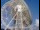 Webcam at the Jodrell Bank Observatory, 23.8 mi away