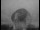 Webcam at the Jodrell Bank Observatory, 3.5 mi away