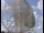 Webcam al Jodrell Bank Observatory, 65.5 km