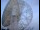 Webcam at the Jodrell Bank Observatory, 17.3 mi away