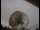 Webcam al Jodrell Bank Observatory, 81.9 km