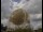 Webcam in Jodrell Bank Observatory, 138.6 km