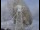 Webcam al Jodrell Bank Observatory, 81.9 km