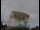 Webcam at the Jodrell Bank Observatory, 3.5 mi away