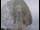 Webcam al Jodrell Bank Observatory, 61.7 km