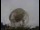 Webcam in Jodrell Bank Observatory, 36.7 km