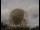 Webcam al Jodrell Bank Observatory, 81.3 km