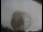 Webcam in Observatorio Jodrell Bank, 81.9 km