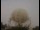 Webcam am Jodrell Bank Observatory, 80.3 km entfernt