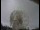 Webcam at the Jodrell Bank Observatory, 10.8 mi away