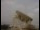 Webcam at the Jodrell Bank Observatory, 31.6 mi away