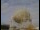 Webcam au Observatoire de Jodrell Bank, 81.9 km