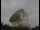 Webcam at the Jodrell Bank Observatory, 23.8 mi away