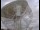 Webcam at the Jodrell Bank Observatory, 7.6 mi away