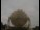 Webcam at the Jodrell Bank Observatory, 31.4 mi away