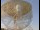 Webcam in Observatorio Jodrell Bank, 81.9 km