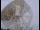 Webcam at the Jodrell Bank Observatory, 22.5 mi away