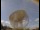 Webcam am Jodrell Bank Observatory, 65.2 km entfernt