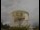 Webcam at the Jodrell Bank Observatory, 3.5 mi away