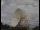 Webcam au Observatoire de Jodrell Bank, 126.8 km