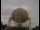 Webcam am Jodrell Bank Observatory, 80.3 km entfernt