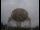 Webcam in Observatorio Jodrell Bank, 138.6 km