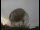 Webcam au Observatoire de Jodrell Bank, 126.8 km