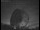 Webcam at the Jodrell Bank Observatory, 25.4 mi away