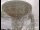 Webcam in Observatorio Jodrell Bank, 57.6 km