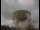 Webcam am Jodrell Bank Observatory, 23.2 km entfernt