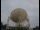 Webcam at the Jodrell Bank Observatory, 18.9 mi away