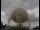 Webcam at the Jodrell Bank Observatory, 25.4 mi away