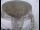Webcam at the Jodrell Bank Observatory, 31.9 mi away