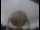 Webcam at the Jodrell Bank Observatory, 22.5 mi away