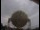 Webcam am Jodrell Bank Observatory, 15 km entfernt