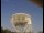 Webcam al Jodrell Bank Observatory, 23.2 km