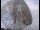Webcam au Observatoire de Jodrell Bank, 24.3 km