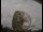 Webcam at the Jodrell Bank Observatory, 46.8 mi away