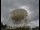 Webcam at the Jodrell Bank Observatory, 25.6 mi away