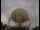 Webcam am Jodrell Bank Observatory, 80.4 km entfernt